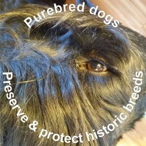 Meet your Posher, Diane e